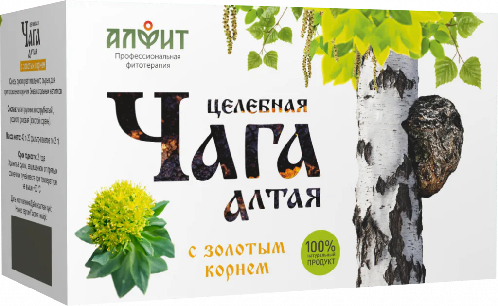 Целебная чага Алтая с золотым корнем
