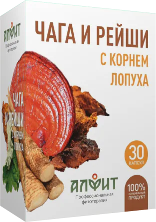 Концентрат "Чага и рейши с корнем лопуха" 30 капс по 500 мг