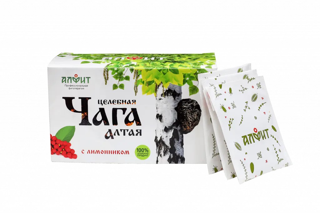 Целебная чага Алтая с лимонником