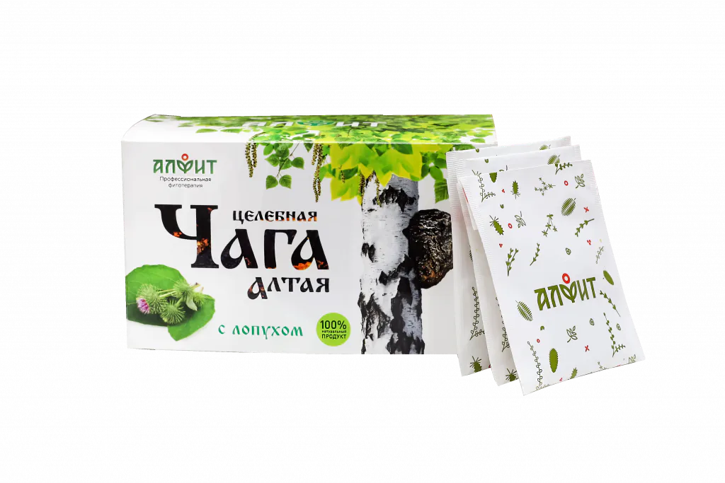 Целебная чага Алтая с лопухом