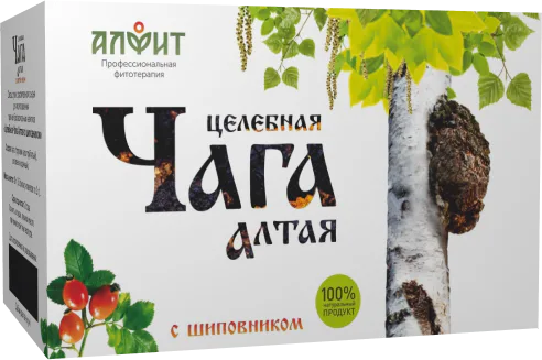 Целебная чага Алтая с шиповником