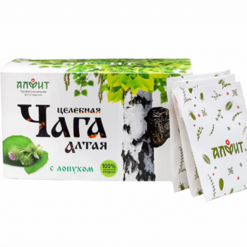 ЦЕЛЕБНАЯ ЧАГА АЛТАЯ С ЛОПУХОМ