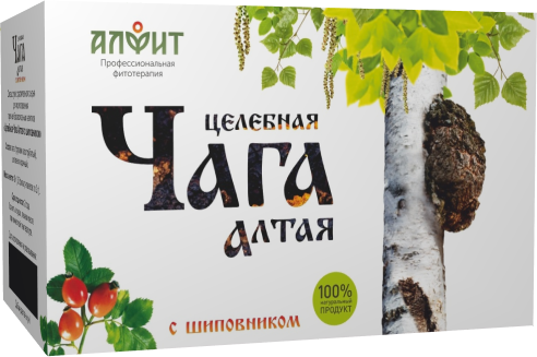 ЦЕЛЕБНАЯ ЧАГА АЛТАЯ С ШИПОВНИКОМ ЦЕЛЕБНАЯ ЧАГА АЛТАЯ С ШИПОВНИКОМ